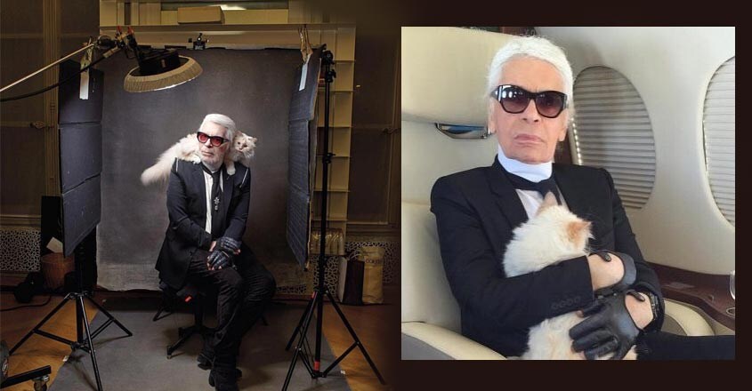 Karl Lagerfeld-cat-3 Karl Lagerfeld-cat-3